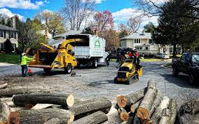 Best Firewood Processing and Delivery  in Woodward, OK